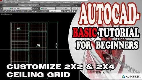 AUTOCAD - CUTOMIZE 2X2 AND 2X4 CEILING GRID