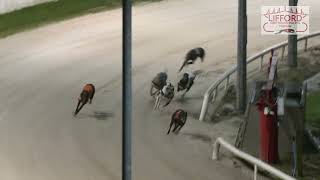 Sunday 29th December 2024 | Race 7 | ICECOOL DOLL