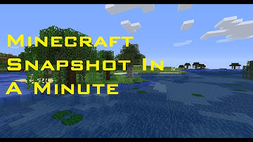 Snapshot In A Minute 13w01a