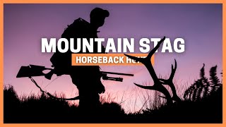 MOUNTAIN RED STAG HUNTING in GREDOS 💥 HORSEBACK HUNTING in SPAIN 💥 RED DEER RUT STAG CULTURE