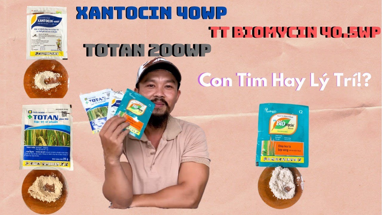 XANTOCIN 40WP- TOTAN 20WP- TT BIOMYCIN 40.5WP- Dòng Sản Phẩm Trừ Khuẩn Gốc Rượu- LÝ TRÍ VS TÌNH CẢM!