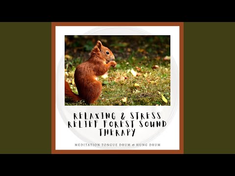 Mira When the Wind Talks, Forest Sound en YouTube