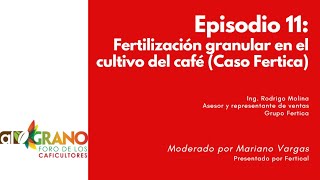 E11:  Fertilización granular en el cultivo del café (Caso Fertica)