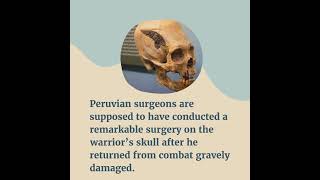 Ancient Surgical Implant Or Modern-Day Fake? Peru Skull Leaves Mystery