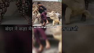 बंदर ने कहा मेरी झूठी कसम मत खाओ ll #monkey #reaction #shorts