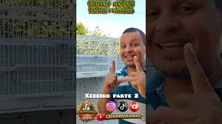 trinca ferro xebeiro parte 2
