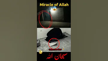 Miracle Of Allah الله أكبر Youtubeshorts Viral Shortvideo Viralvideo Shorts Viralshort Allah 