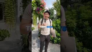 Building A Property Management Software In 30 Days - Beta Testing