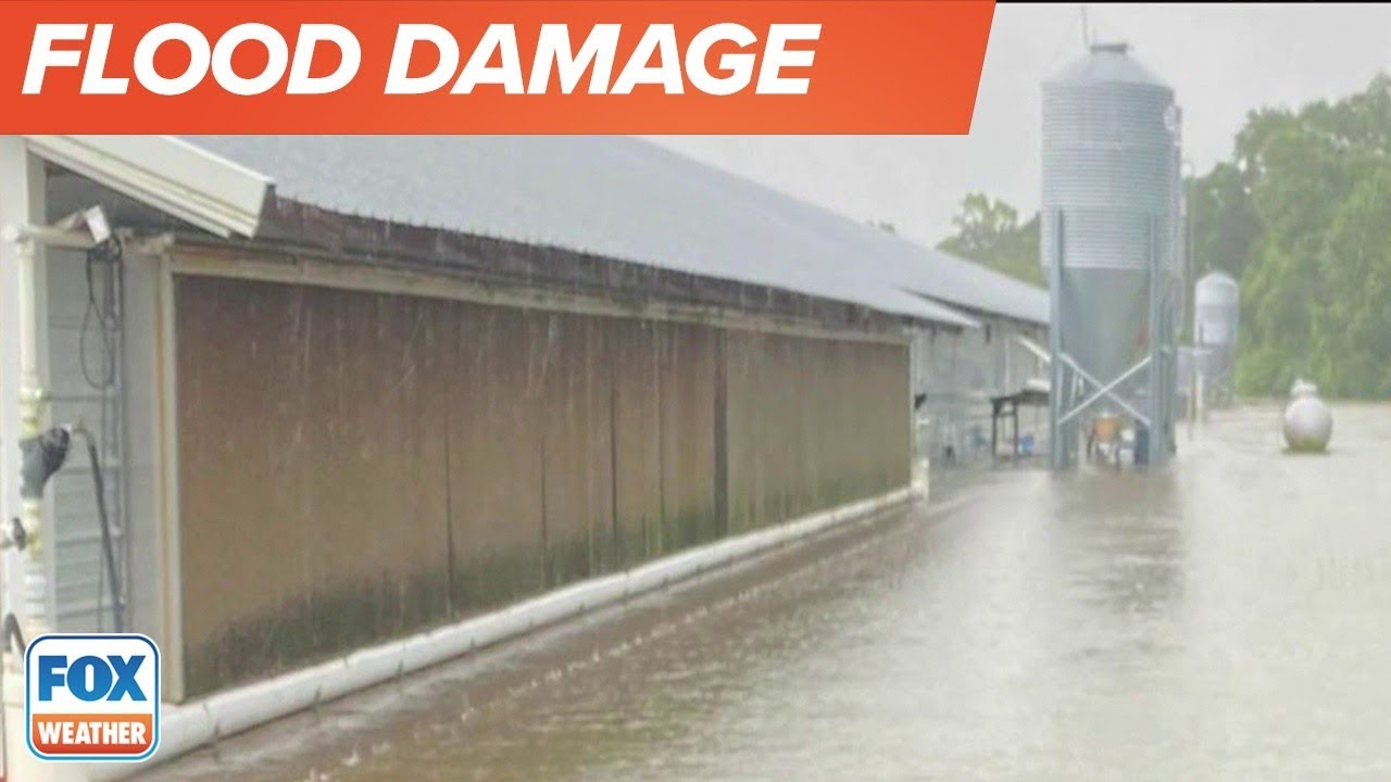 Flooding Will Have Caused ‘Widespread Damage’ to Mississippi Farming