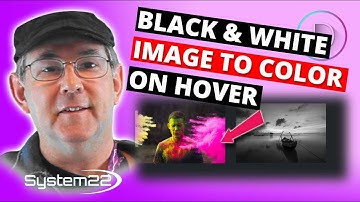 Divi Theme Image Black And White To Color On Hover 👈