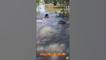 Trời ơi người phụ nữ đang tắm sông thì cá sấu xuất hiện tấn công kìa bà con ơi #shorts