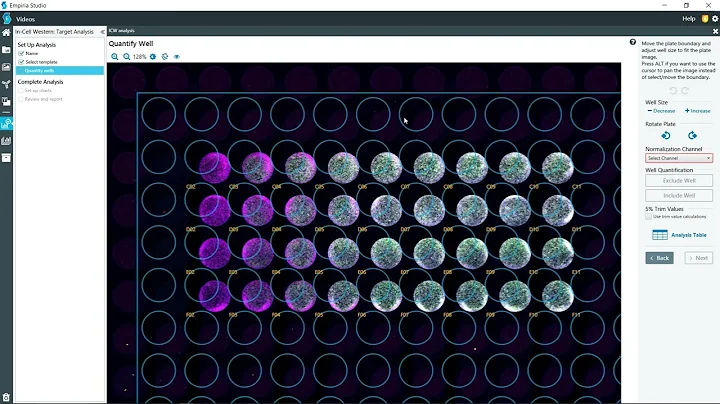 Empiria Studio® Software 2.0: In-Cell Western™ Assay Target Analysis