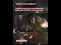 Punishers annoying #marvelrivals #hulk #funny
