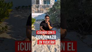 😱⛈️Cuidado con el #cordonazo en #yucatán 💨😱 #mérida #progreso #playa
