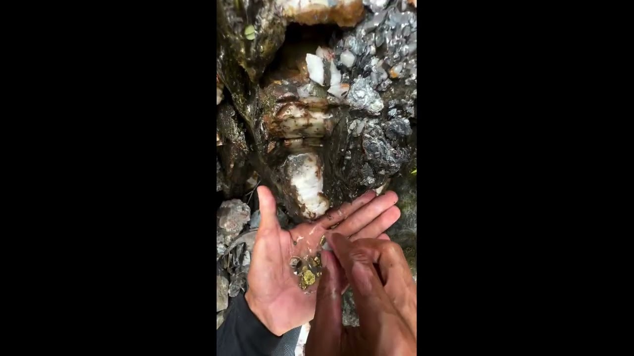 Plasiyer Altın Arama   01