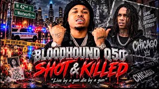 Shot and Killed: Bloodhound Q50 — Live by the Gun, Die by the Gun.” #heighsupply #djakademiks
