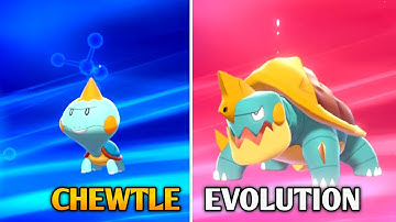 Chewtle Evolution In Pokemon Sword & Shield | Galar Pokedex