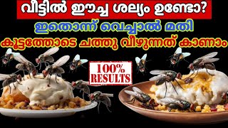 ഇതൊന്ന് വെച്ചാൽ മതി ഈച്ചകൾ കൂട്ടത്തോടെ ചത്തു വീഴും തീർച്ച/#kitchenhacks#howtogetridoffly