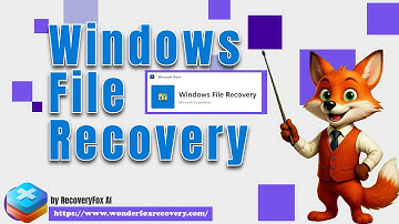 How to Use Windows File Recovery to Recover Deleted/Formatted Data (Step by Step)