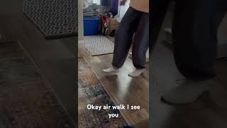 Air Walk I Need More Space Bro