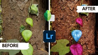 How to change leaf To a Multicoloured Leaf|Creative Editing |Snapseed Tutorial | lightroom presets screenshot 2