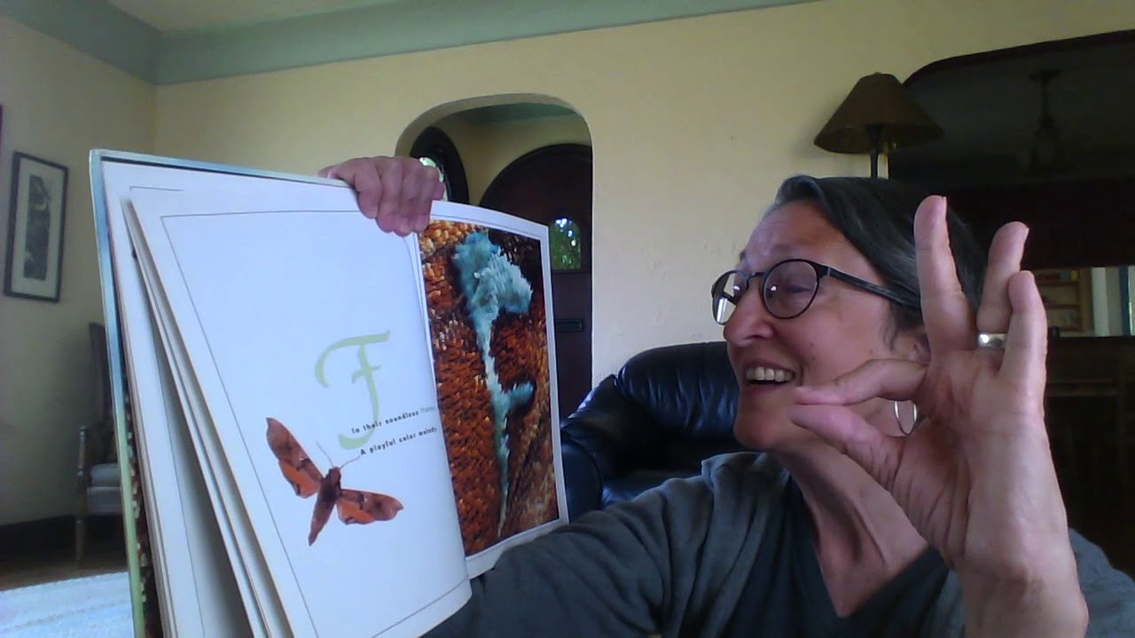The Butterfly Alphabet - YouTube