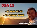 Tierra Santa, Día 11 - El Mar Rojo y El monte Sinaí - Padre Arturo Cornejo