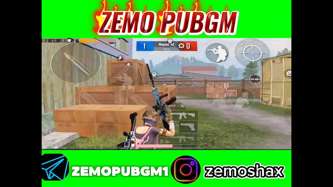 zemoshax DAN tdim tg 