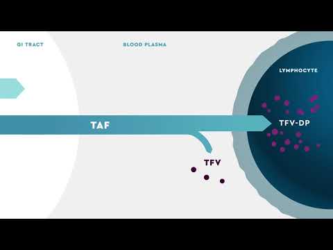 DESCOVY® (tenofovir alafenamide) Mechanism of Action for HIV Pre-Exposure Prophylaxis (PrEP)