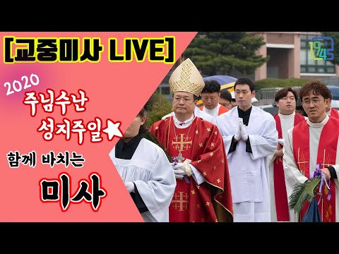 영상썸네일