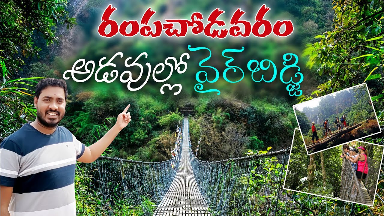రంపచోడవరం అడవుల్లో వైర్ బ్రిడ్జి | Rampachodavaram Tour | Forest Tour ...