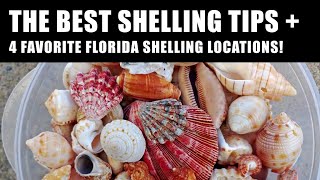 6 SHELLING TIPS from a PRO + 4 of my FAVORITE Shelling spots in FLORIDA!