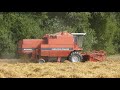 DEUTZ-FAHR M 2580 Mähdrescher in Steinkimmen / Oldbg 2017