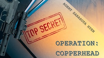 Top Secret Tabletop RPG 1e: Missions