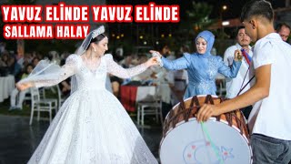 YAVUZ ELİNDE ANTEP SALLAMA HALAY - GELİN  HALAY BAŞINDA