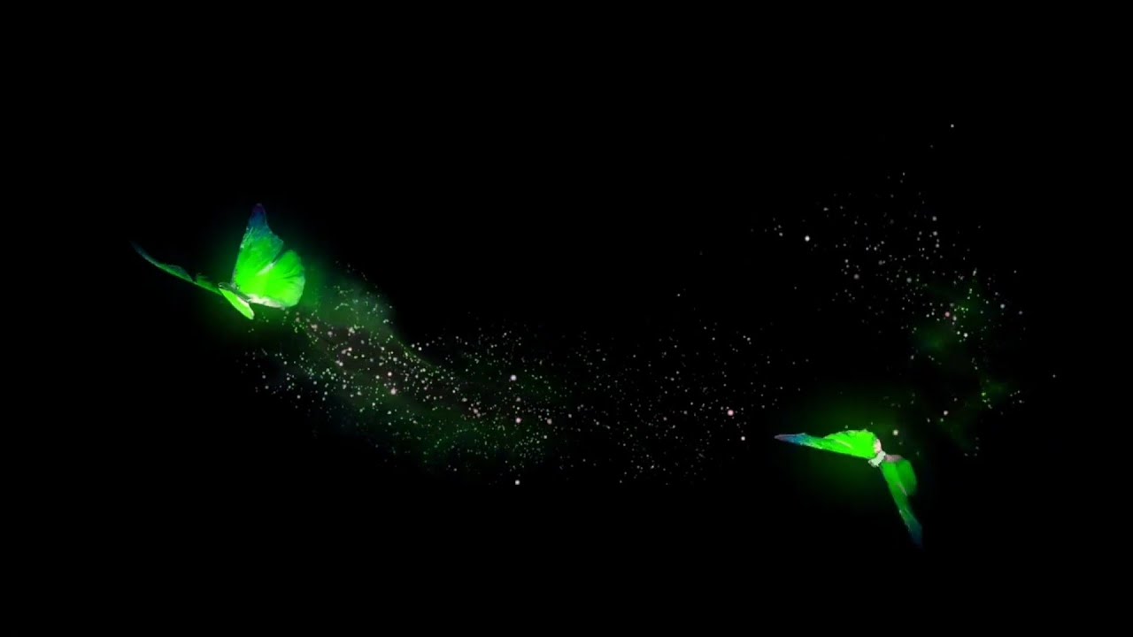 Green Neon Butterfly Black Screen Animation l Butterfly Over Layer l Flying Butterfly Effect