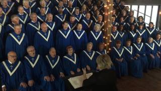 IMG 4478