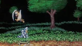 240p Gaming on PC CRT Monitor