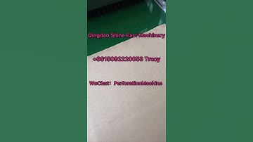 Micro #perforator  #holepunching #holepunchingmachine #microperforation #perforación piece by piece