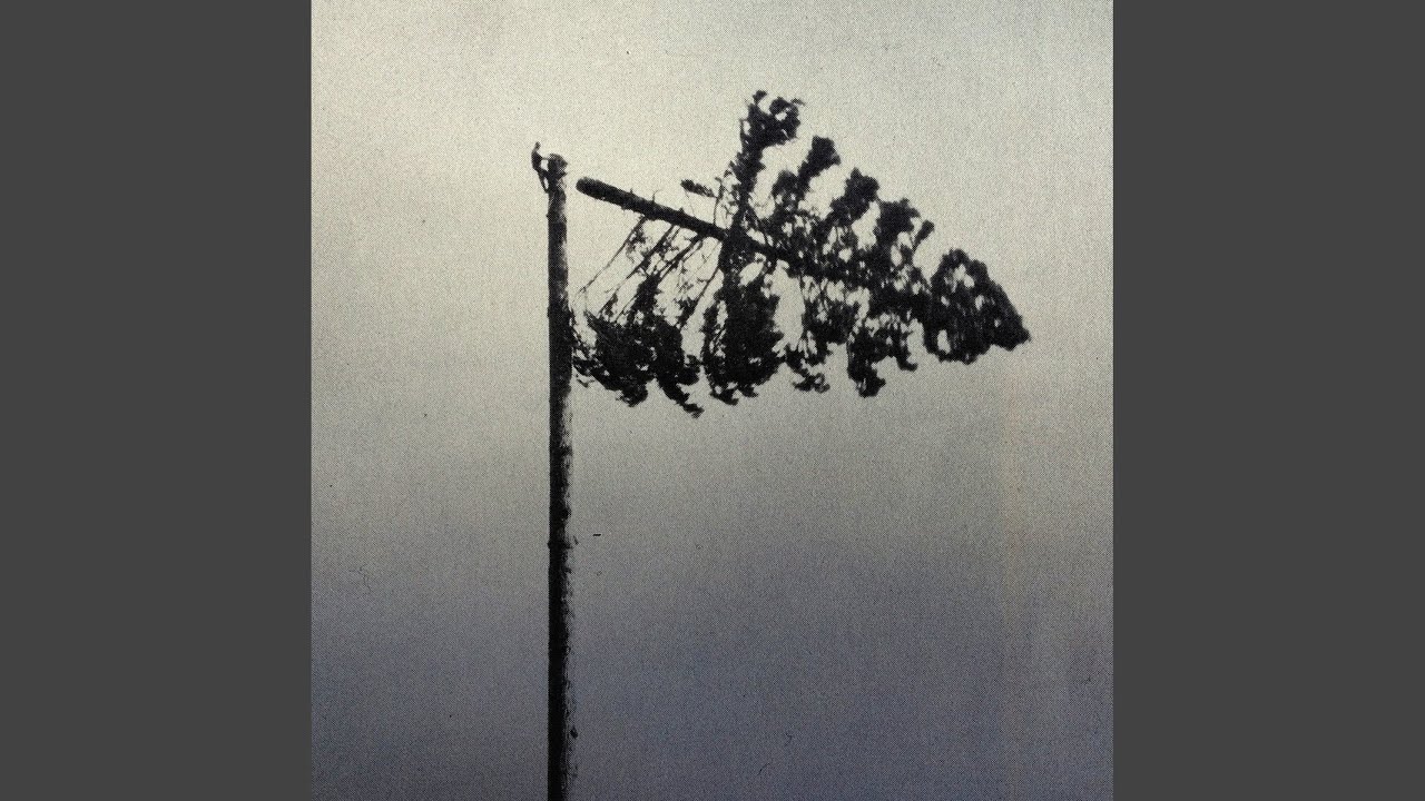 Watch Decay on YouTube Watch Decay on YouTube