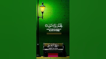 سبح اسم ربك الأعلى #سورة_الاعلى #القاري ماهر المعيقلي #المصحف #الا_بذكر_الله_تطمئن_القلوب #اكسبلور