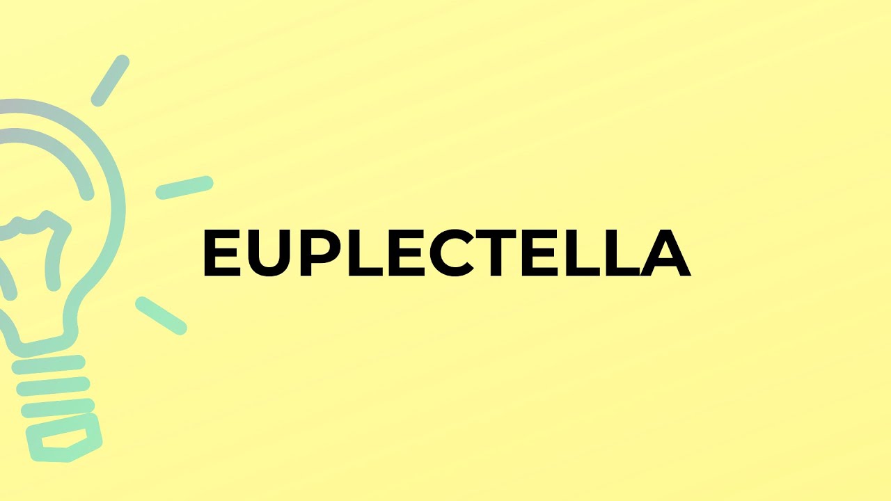 What is the meaning of the word EUPLECTELLA?