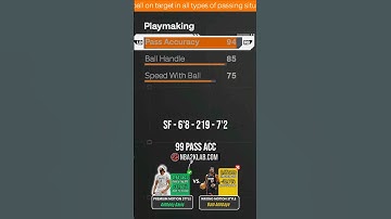 2K26 6’8 Build 99 Pass Accuracy Point Forward Build