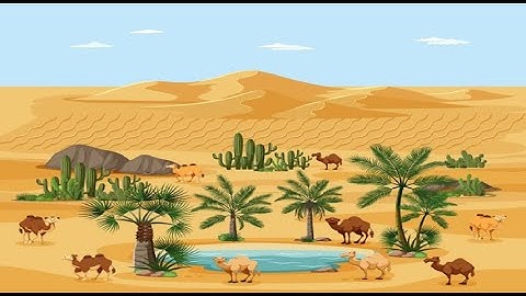 22 - كونكت بلس ثالثه ابتدائى ترم اول   Connect Plus G 3 Unit 5 All about water lesson 3