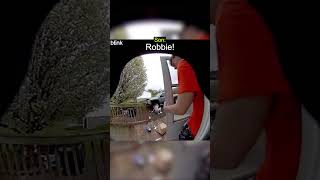 Pet Owners Dog Chases Delivery Guy
