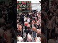 25 Muharram | Syed Kasran Sani e Karbala | Shahdat Imam Sajjad #viral #shorts #matam #karbala #shia