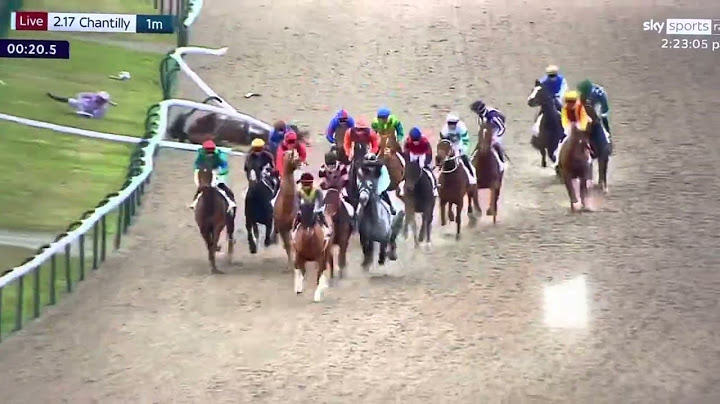 Horse dies has heart attack during race in France