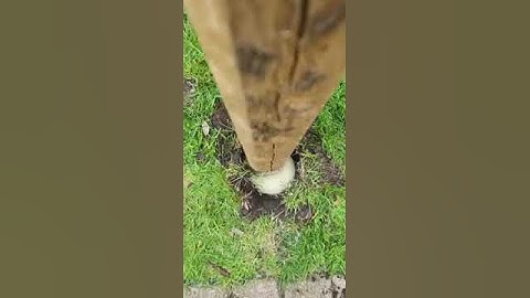 Fast 2K Deck Post Mix | Expanding Foam Concrete Alternative for Deck Post, Fence Post, Mailbox, etc