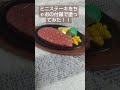 【検証】ミニステーキをちゃおの付録で塗ってみた!!