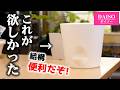 そのまま棚へ戻せる！？100均『水やりストレスフリー』な植木鉢に感動…！【観葉植物・シダ】
